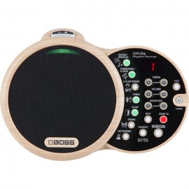 Caja de Ritmo DR-01S Boss-CasadelMusico-