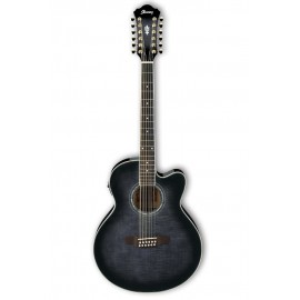 Guitarra de 12 cuerdas Electroacustica Ibanez AEL2012E-TKS-CasadelMusico-