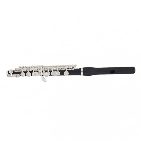 Piccolo Gemeinhardt Roy Seaman Storm-CasadelMusico-