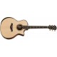 Guitarra Taylor Pro Premium 914ce-CasadelMusico-