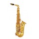 Saxofon Alto Princess AS-200GL (version especial) Bb Oro Laquelado-CasadelMusico-