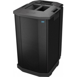 Bafle Subwoofer Amplificado Bose F1-CasadelMusico-Bose Profesional