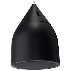 ALTAVOZ PARA COLGAR COMMUNITY 2 VIAS COAXIAL DP6-CasadelMusico-Audio y Video