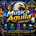 Música Águila - Instrumentos musicales